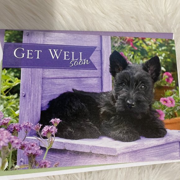 6 Assorted Greeting Cards Animals & Flowers  matching print envelopes - Picture 9 of 14